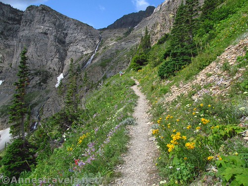 Swiftcurrent Lookout Hike: Strenuous Climb to Glacier's Historic Summit